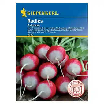 Bauhaus Kiepenkerl Gemüsesamen Radieschen (Poloneza, Raphanus sativus var. sativus, Erntezeit: März) Angebot