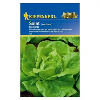 Bauhaus Kiepenkerl Salatsamen Kopfsalat (Maikönig, Lactuca sativa var. capitata) Angebot