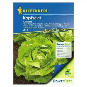 Bauhaus Kiepenkerl Profi-Line Salatsamen Kopfsalat PowerSaat (Lactuca sativa, Erntezeit: Mai) Angebot