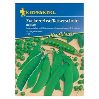 Bauhaus Kiepenkerl Profi-Line Gemüsesamen Zuckererbse (Delikata, Pisum sativum, Erntezeit: Juni) Angebot