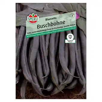 Bauhaus Sperli Gemüsesamen Buschbohne (Phaseolus vulgaris, Erntezeit: Juli, Bluevetta) Angebot