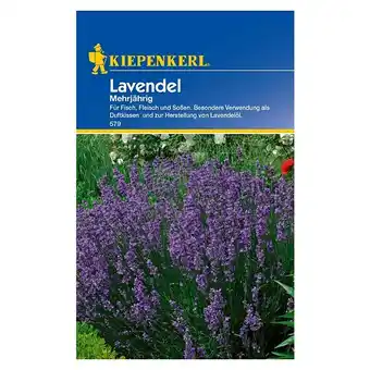 Bauhaus Kiepenkerl Blumensamen Lavendel (Lavandula angustifolia, Blau, Saatzeit: März) Angebot