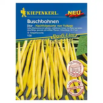 Bauhaus Kiepenkerl Profi-Line Gemüsesamen Buschbohne (Dior, Phaseolus vulgaris, Erntezeit: Juli) Angebot