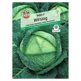 Bauhaus Sperli Gemüsesamen Wirsing (Brassica oleracea, Erntezeit: Oktober) Angebot