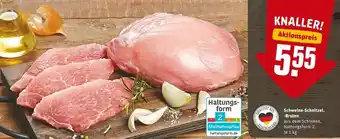 REWE PETZ Schweine Schnitzel, Braten 1kg Angebot