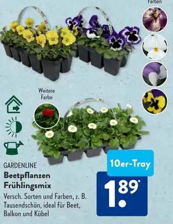 Aldi Süd GARDENLINE Beetpflanzen Frühlingsmix 10er-Tray Angebot