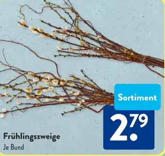 Aldi Süd Frühlingszweige Angebot