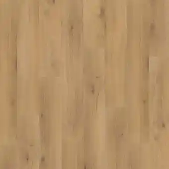 toom Baumarkt Parador Laminat 'Basic 400' Eiche Horizont Natur eichefarben 8 mm Angebot