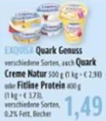 BUNGERT Exquisa Quark-Genuss, Quark Creme Natur 500g o. Fitline Protein 100g Angebot