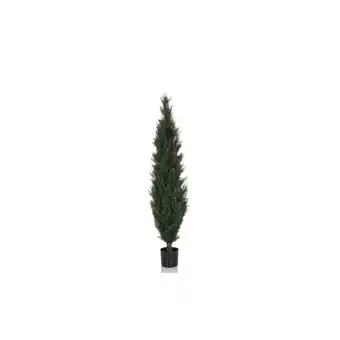 Netto Marken-Discount Kunstpflanze CEDRUS Kunststoff hjh OFFICE Angebot