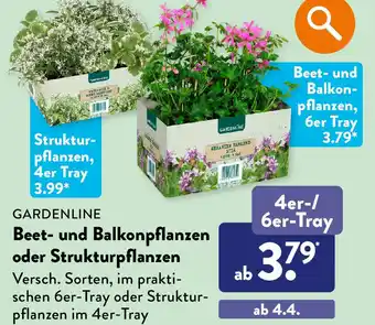 Aldi Süd GARDENLINE Beet- und Balkon-pflanzen o. Strukturpflanzen, 4er-/ 6er-Tray Angebot