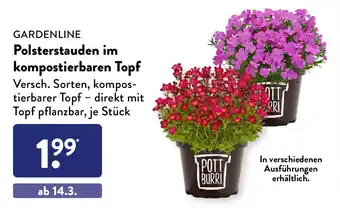 Aldi Süd GARDENLINE Polsterstauden im kompostierbaren Topf Angebot