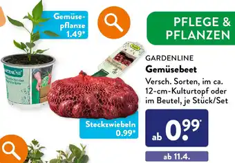 Aldi Süd GARDENLINE Gemüsebeet Angebot