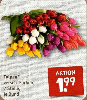 nahkauf Tulpen Angebot