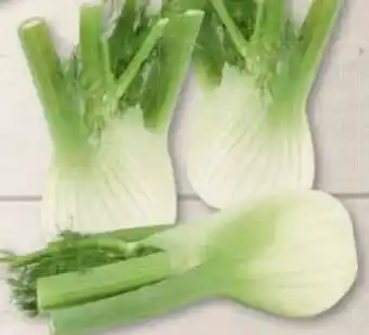 Edeka Frischemarkt Fenchel Angebot
