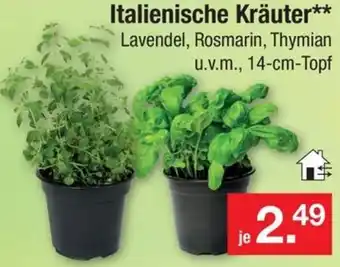 Zimmermann Italienische Kräuter Angebot