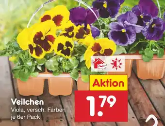 Netto Marken-Discount Veilchen Angebot