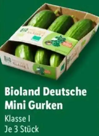 Lidl Bioland Deutsche Mini Gurken 3 Stück Angebot