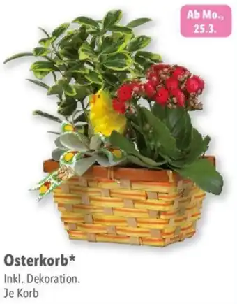 Lidl Osterkorb Angebot