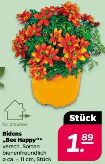 NETTO Bidens ,,Bee Happy" Angebot