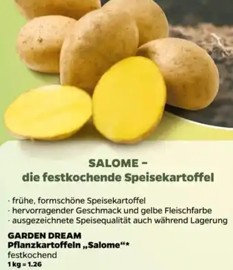 NETTO GARDEN DREAM Pflanzkartoffeln ,,Salome" 5 kg Angebot
