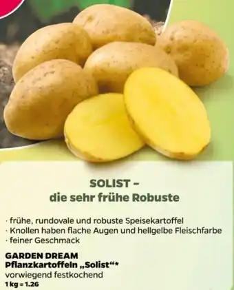 NETTO GARDEN DREAM Pflanzkartoffeln ,,Solist" 5 kg Angebot