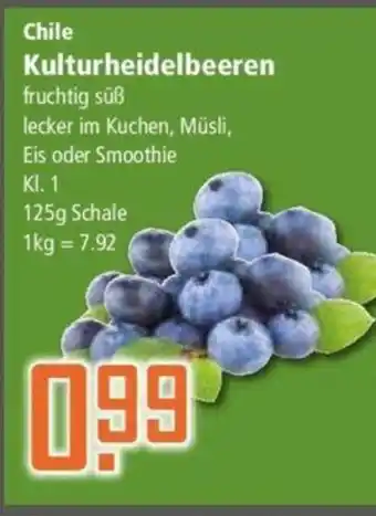 Klaas und Kock Kulturheidelbeeren 125g Schale Angebot