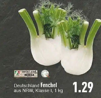 E-Center Deutschland Fenchel Angebot