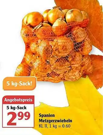 Globus Spanien Metzerzwiebeln Angebot