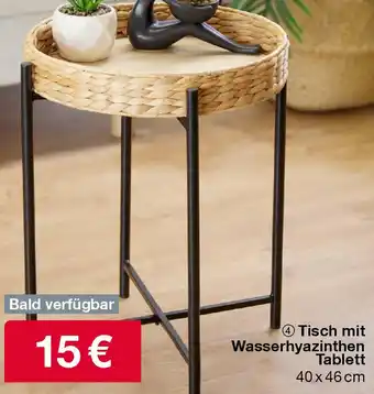 Woolworth Tisch mit Wasserhyazinthen Tablett 40 x 46 cm Angebot