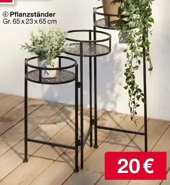 Woolworth Pflanzständer Angebot