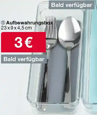 Woolworth Aufbewahrungsbox Angebot