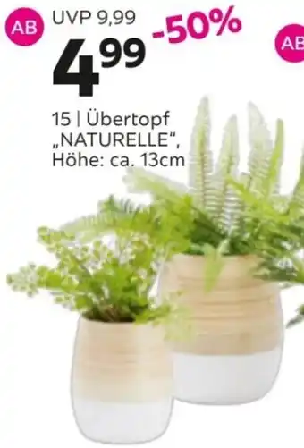 Mömax Übertopf ,,NATURELLE" Angebot