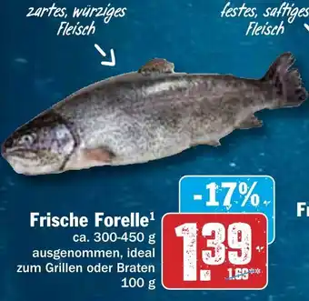 Hit Frische Forelle 100g Angebot