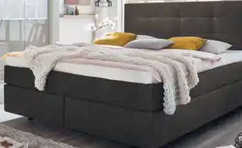 Zurbrüggen voleo Boxspringbett CASA LUNA PRO Angebot