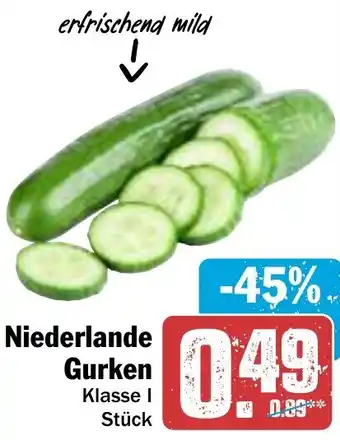 AEZ Niederlande Gurken Angebot