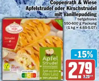 AEZ Coppenrath & Wiese Apfelstrudel oder Kirschstrudel mit Vanillepudding 550-600 g Packung Angebot