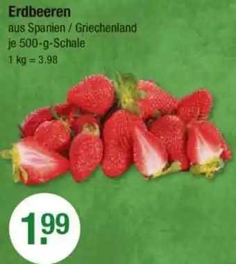 V Markt Erdbeeren 500 g Schale Angebot