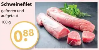 V Markt Schweinefilet 100 g Angebot