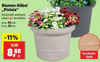 Thomas Philipps Blumen-Kübel „Pistoia" Angebot