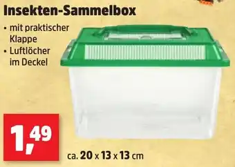 Thomas Philipps Insekten-Sammelbox Angebot