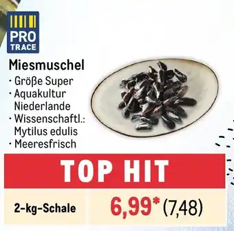 METRO Miesmuschel 2-kg-Schale Angebot