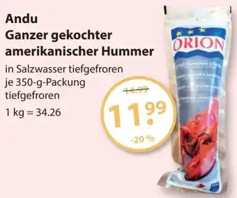 V Markt Andu Ganzer gekochter amerikanischer Hummer 350 g Packung Angebot