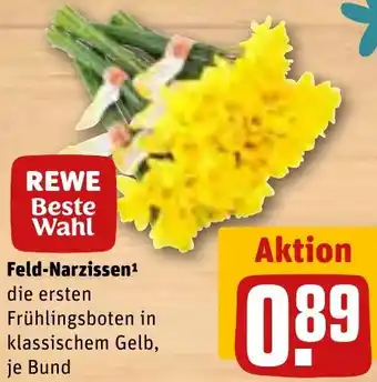 REWE Feld Narzissen Angebot