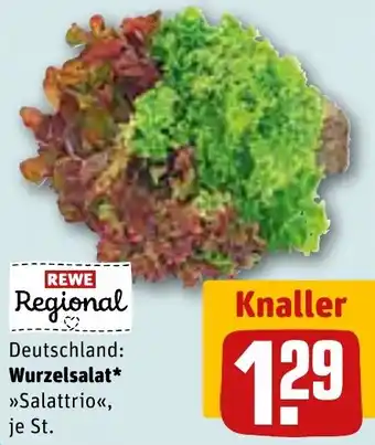 REWE Wurzelsalat Angebot