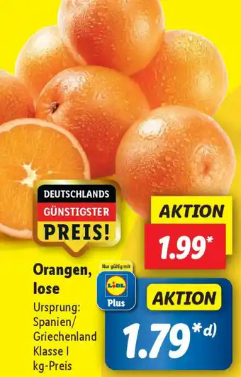 Lidl Orangen, lose Angebot