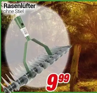 CENTERSHOP Rasenlüfter Angebot