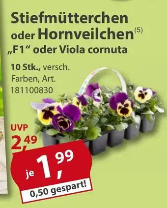 Sonderpreis Baumarkt Stiefmutterchen o. Hornveilchen "F1" o. Viola cornuta 10st Angebot