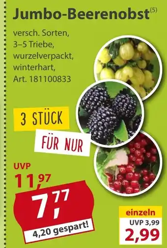 Sonderpreis Baumarkt Jumbo-Beerenobst 3st Angebot