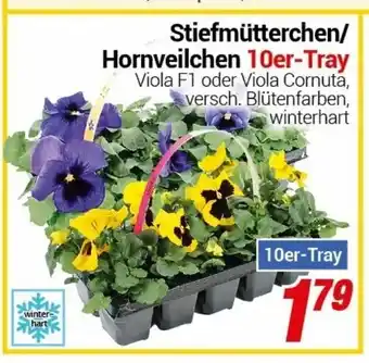 CENTERSHOP Stiefmütterchen oder Hornveilchen 10er Tray Angebot